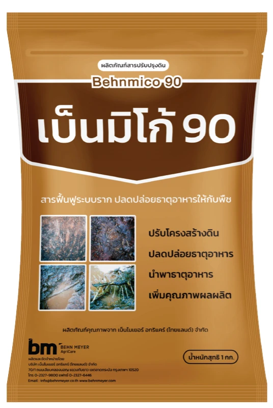 ผลิตภัณฑ์ เบ็นมิโก้ 90
