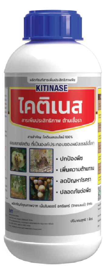 ผลิตภัณฑ์ ไคติเนส